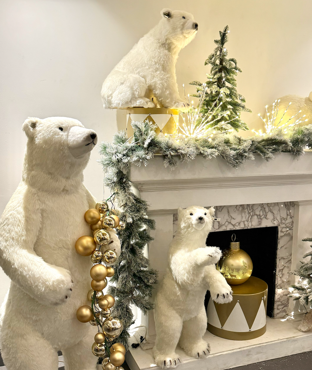 Osos Polares / Polar Bears