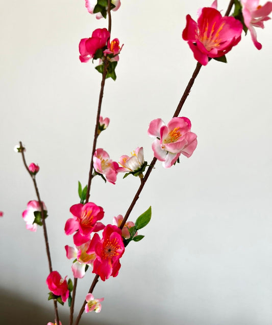Flor de Cerezo VR
