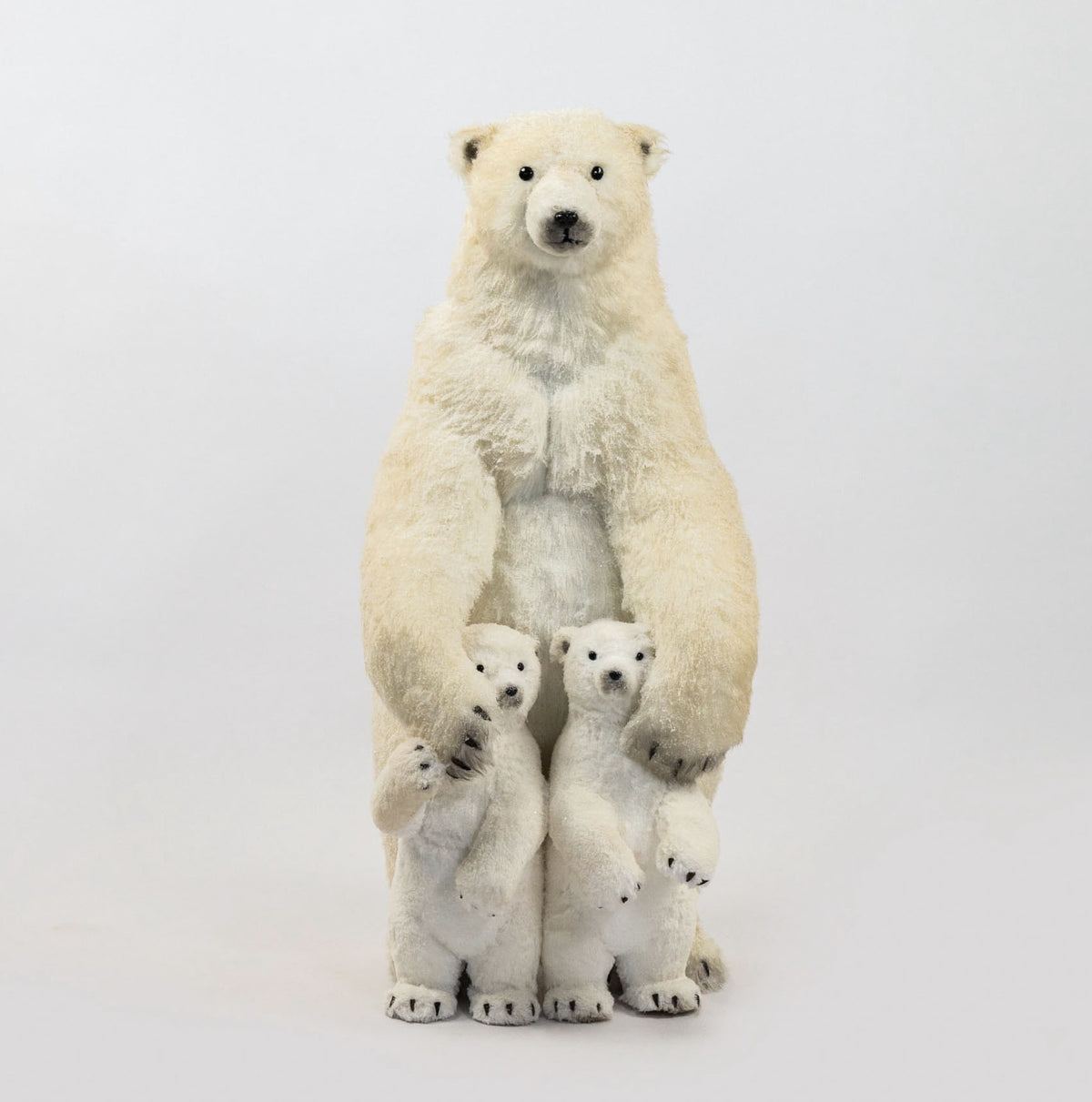 Oso Polar familia / Family Polar Bears