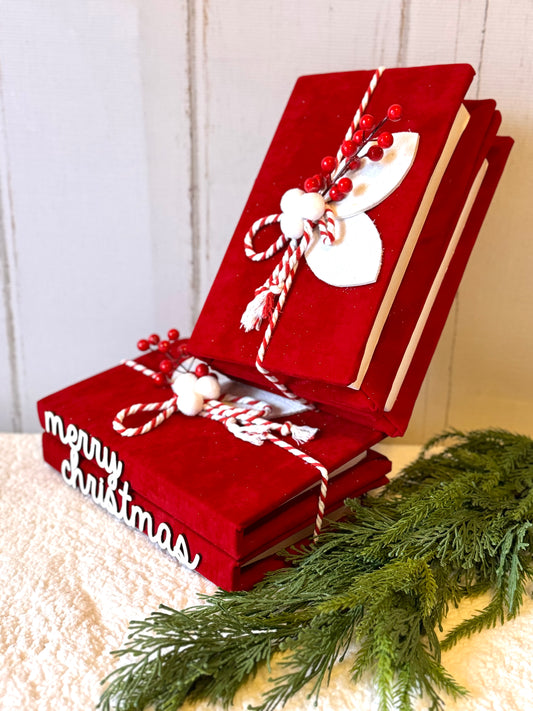 Libros adornos VR / Books VR