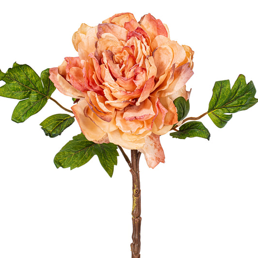 Flor PEONIA Real Touch VR