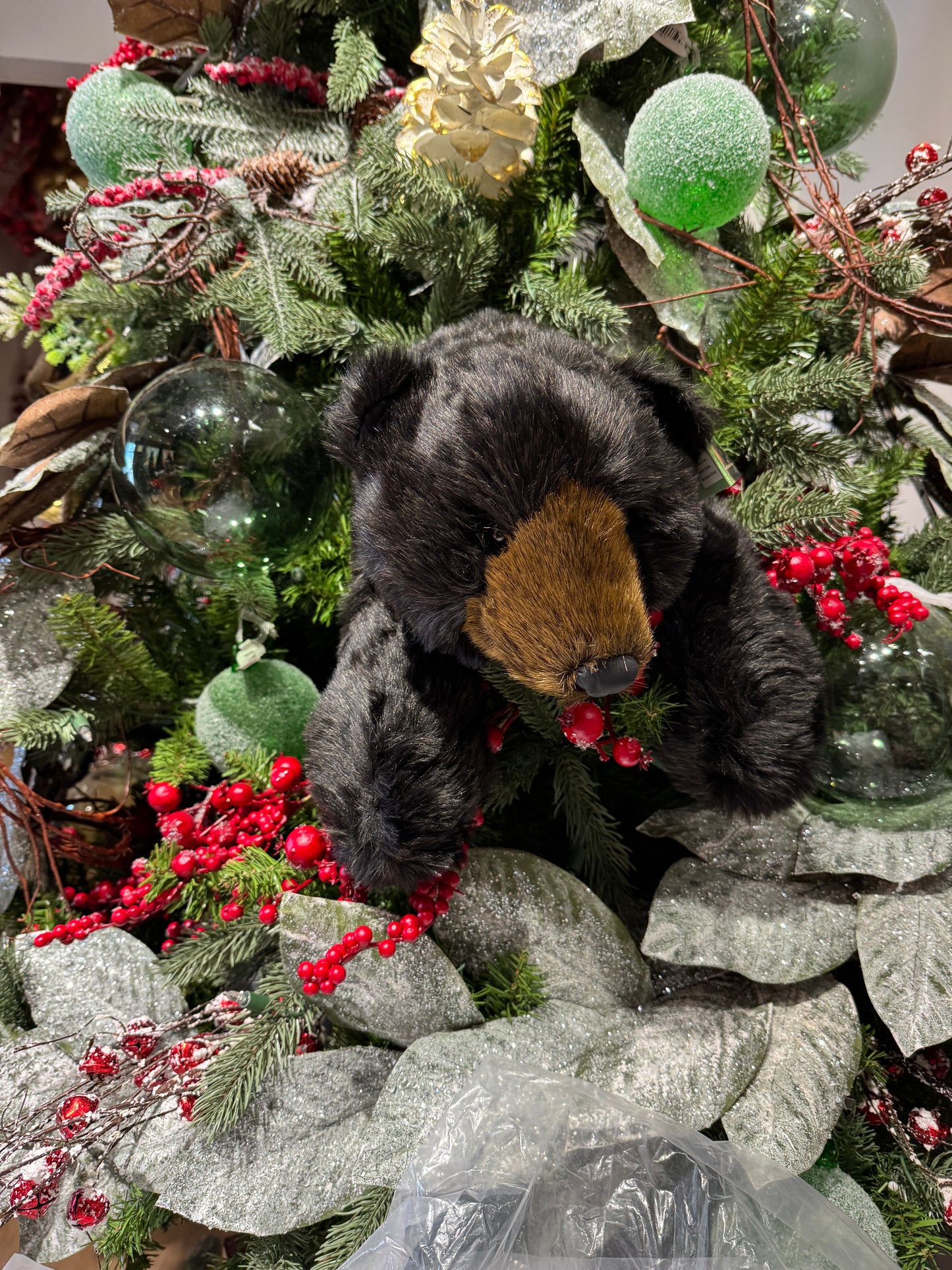Osos negros VR / Black Bears VR