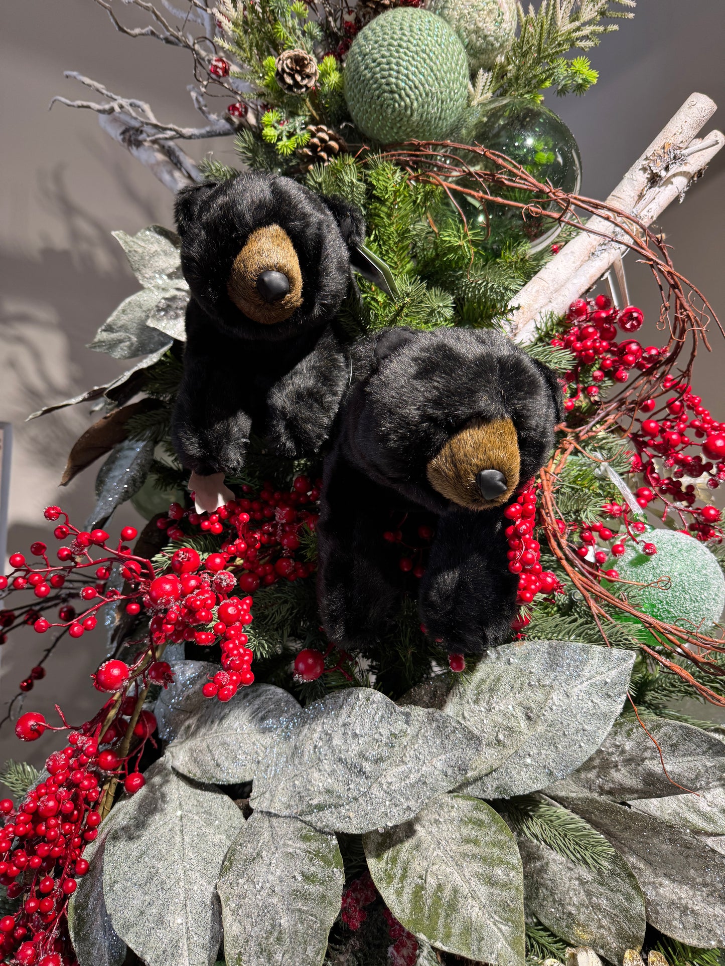 Osos negros VR / Black Bears VR