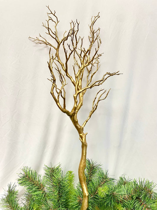 Rama arbol VR / Tree branch VR