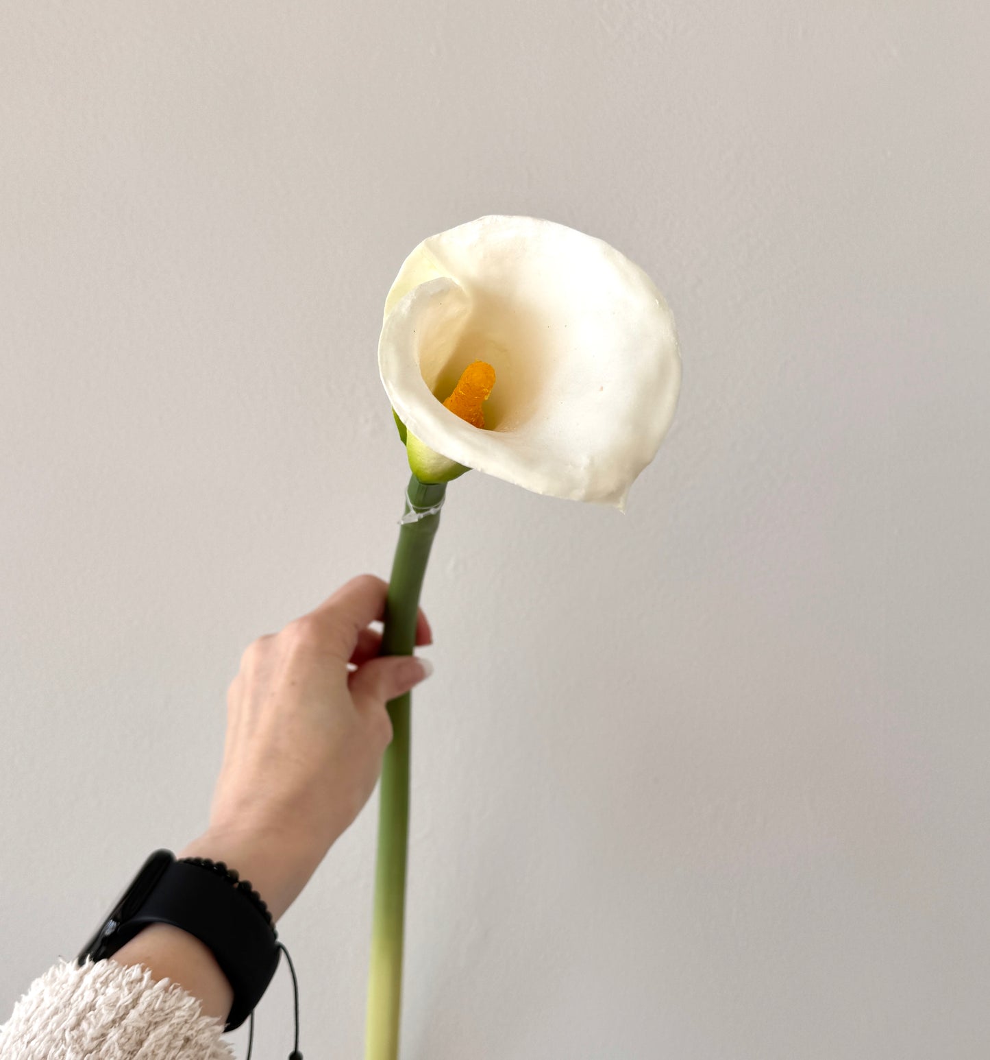 Flor CALLA LILIES blanca