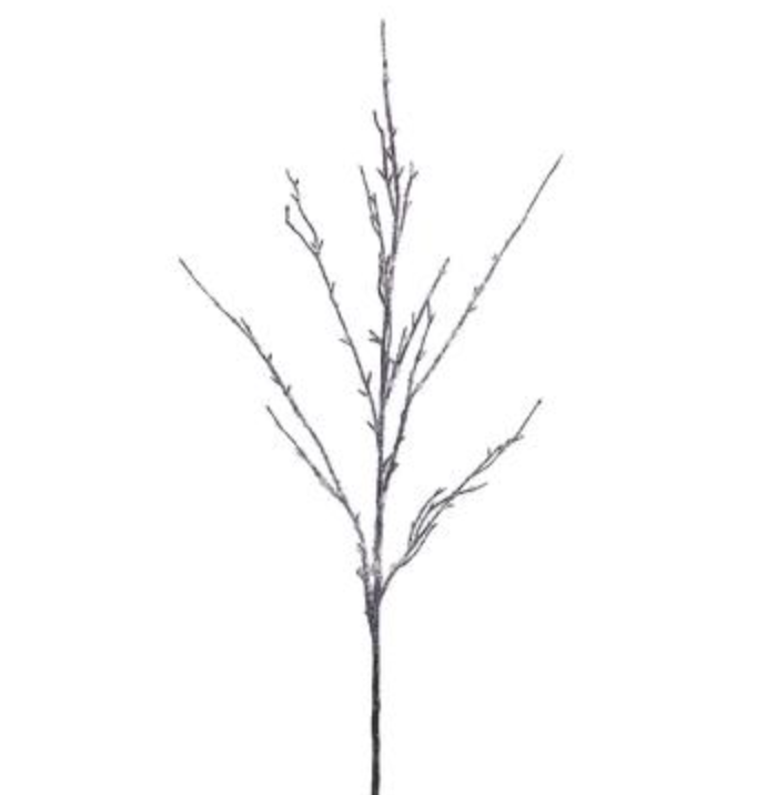 Rama arbol VR / Tree branch VR