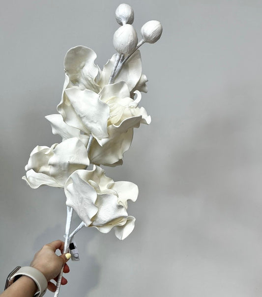 Flores Blancas y Crema VR