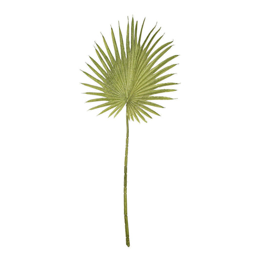Follaje Plantas verdes VR