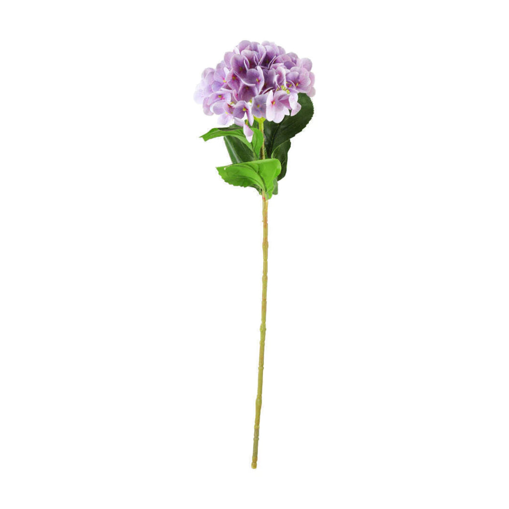 Flor HORTENSIA chicas VR