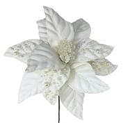 Flores blancas VR / White flowers VR