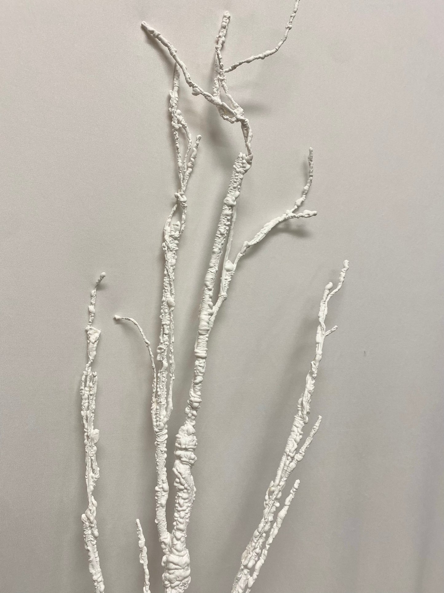 Rama blanca 118cm / 46.5" White branch