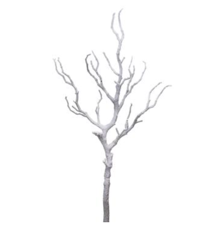 Rama arbol VR / Tree branch VR