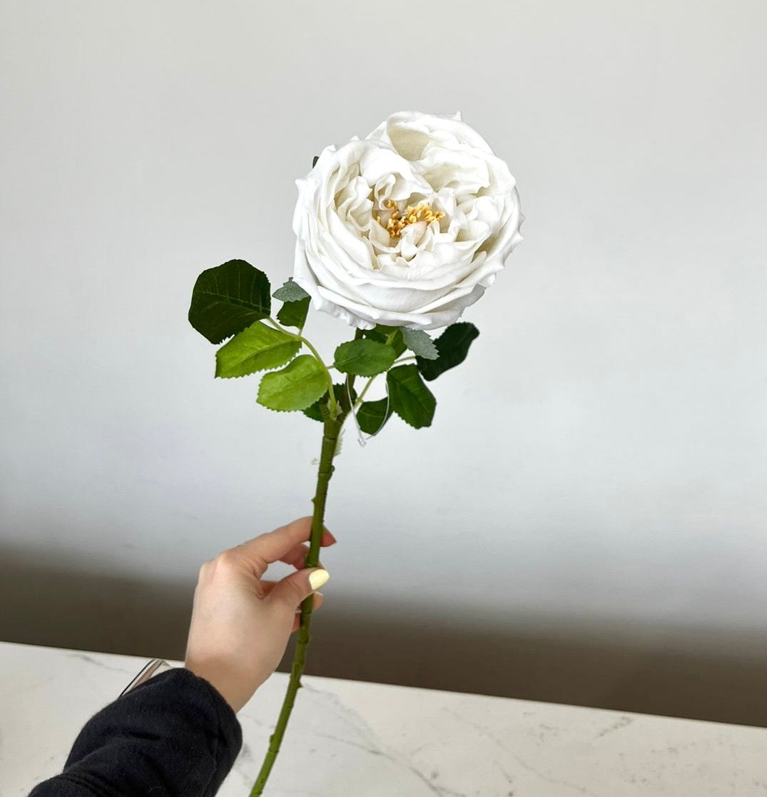 Flor Rosa Inglesa Real Touch