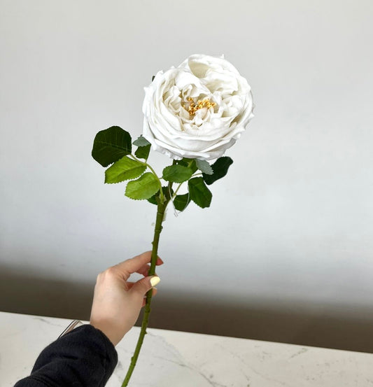 Flor Rosa Inglesa Real Touch