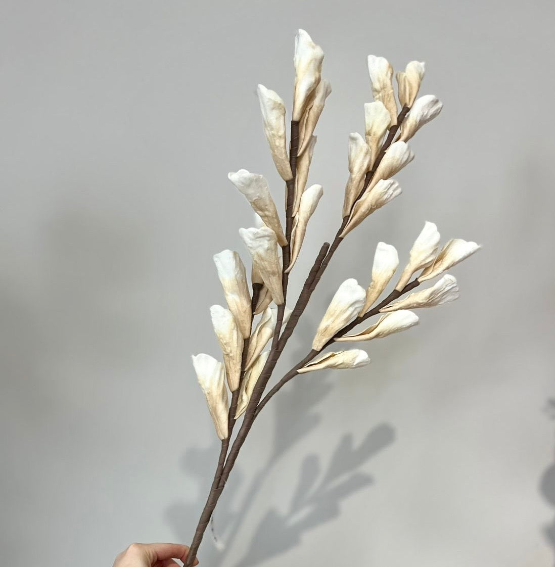 Flores Blancas y Crema VR