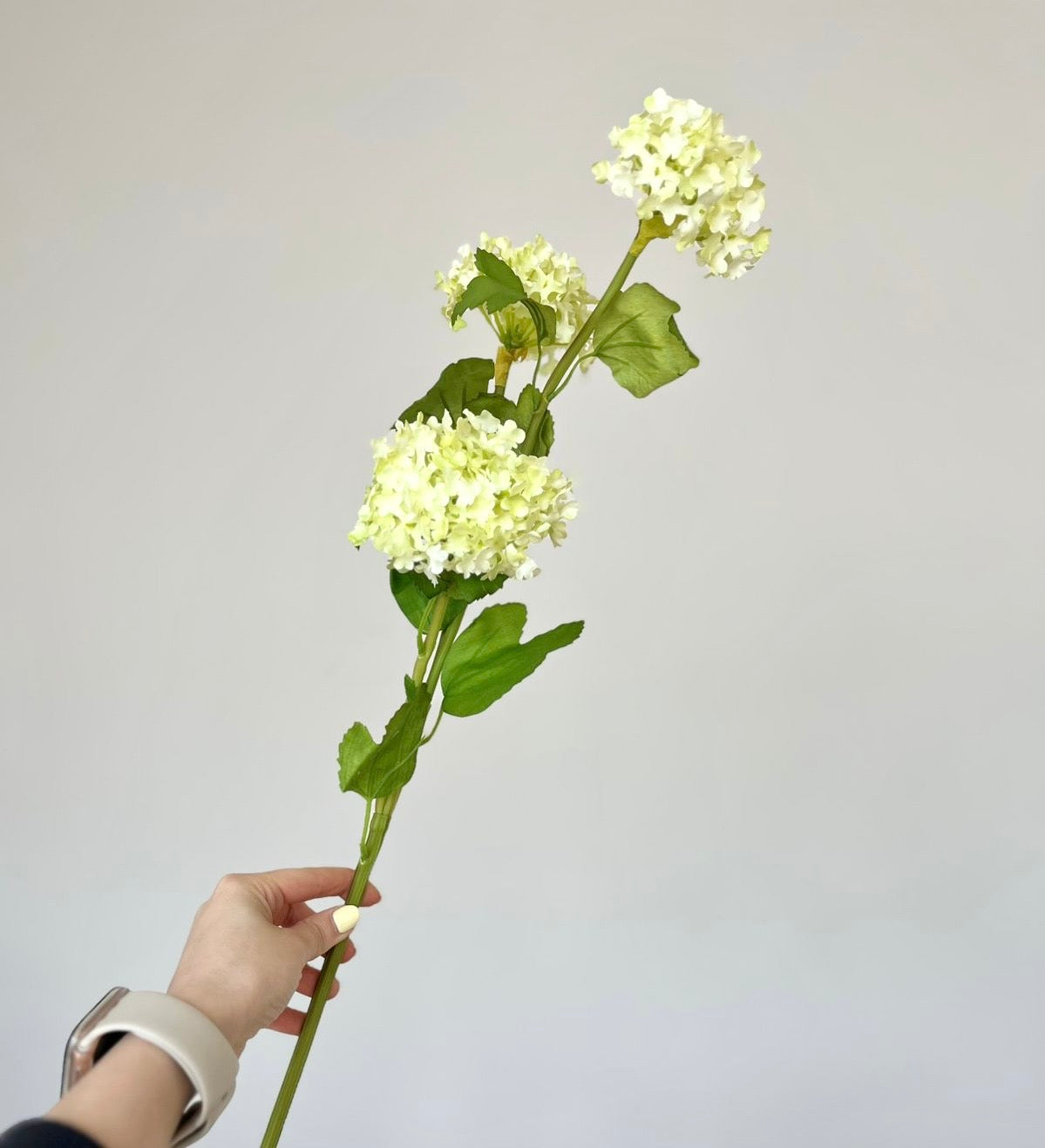 Flor HORTENSIAS mini