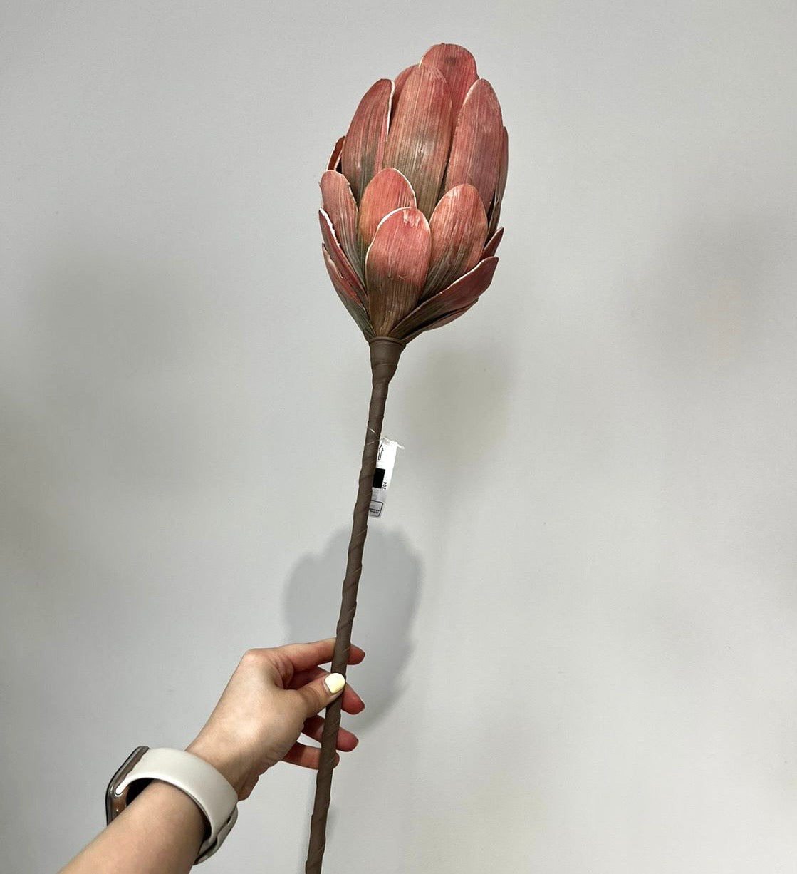 Flor ALCACHOFA