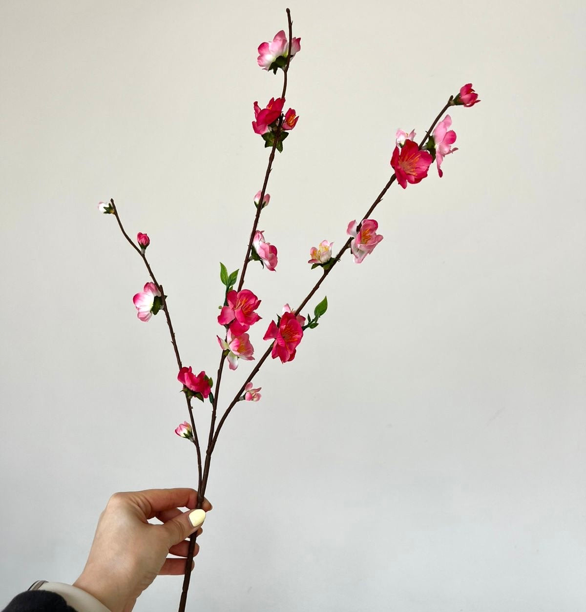 Flor de Cerezo VR