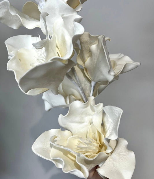 Flores Blancas y Crema VR