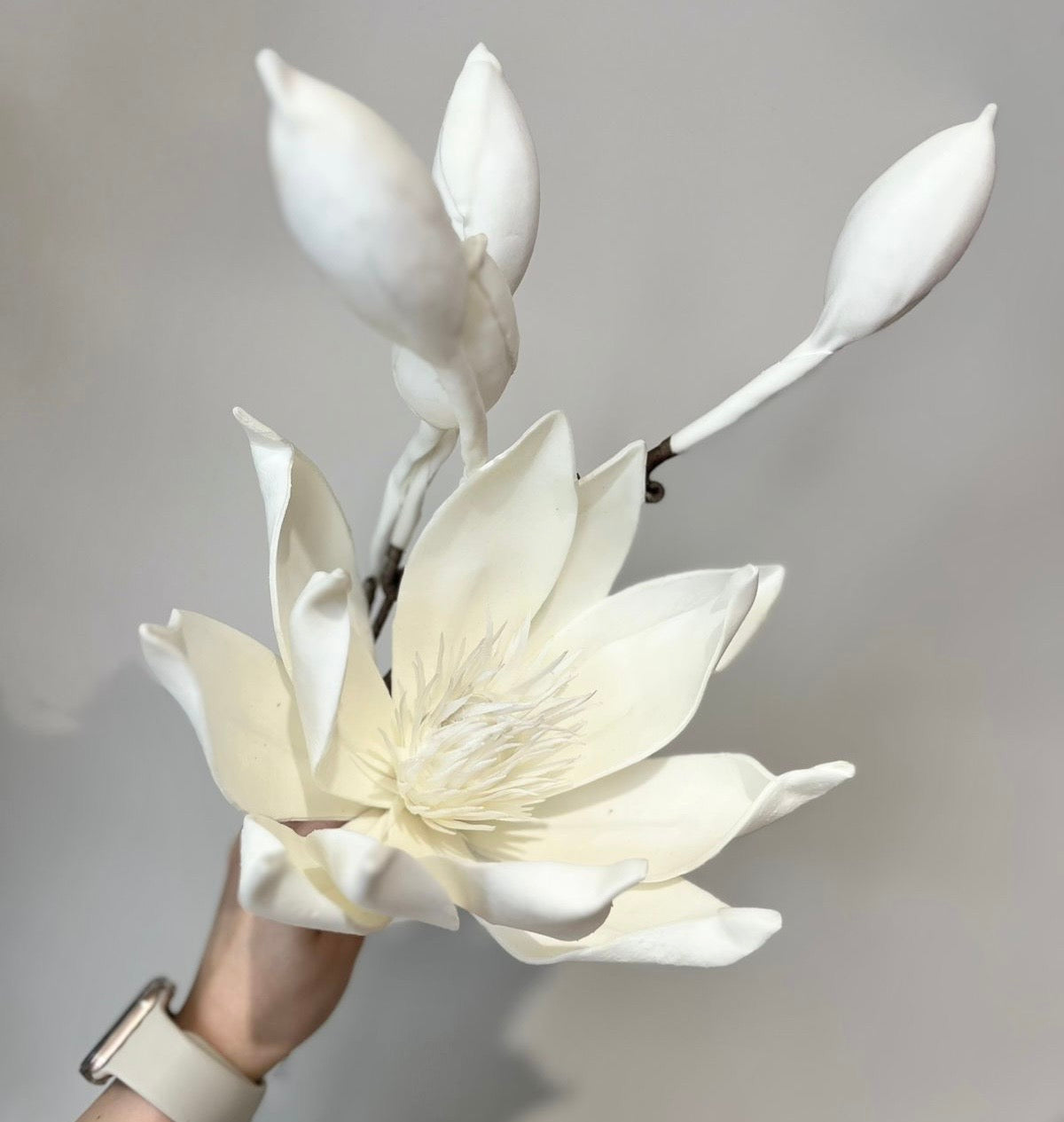 Flores Blancas y Crema VR