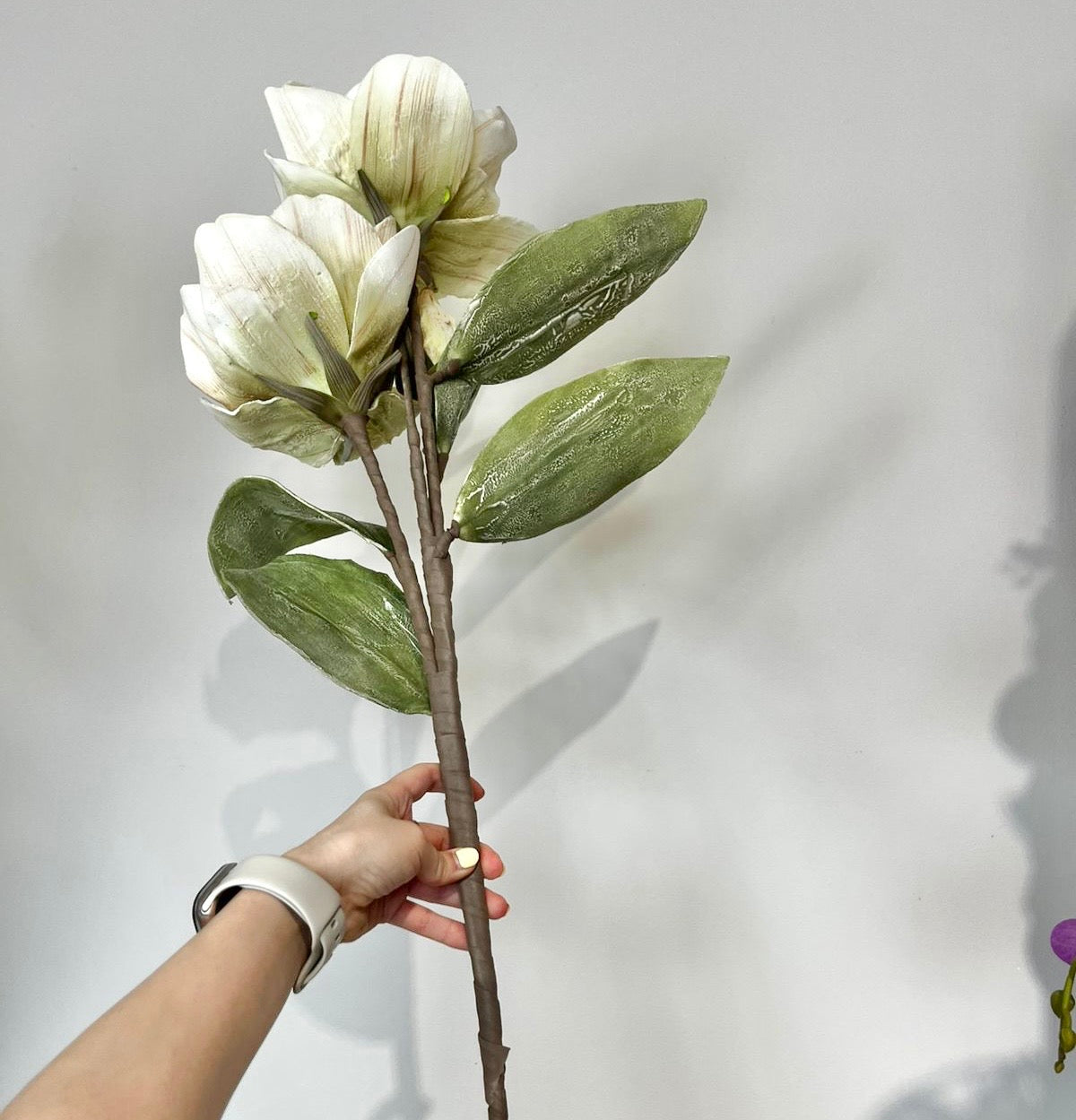 Flor ALMEJA Y LIMON VR