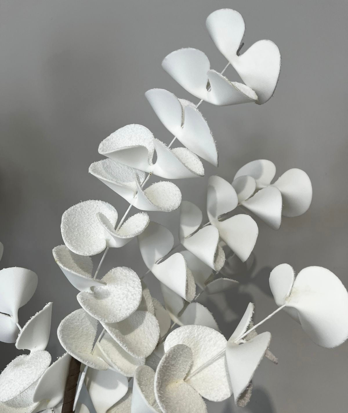Flores Blancas y Crema VR