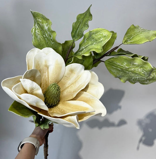 Flores MAGNOLIA VR