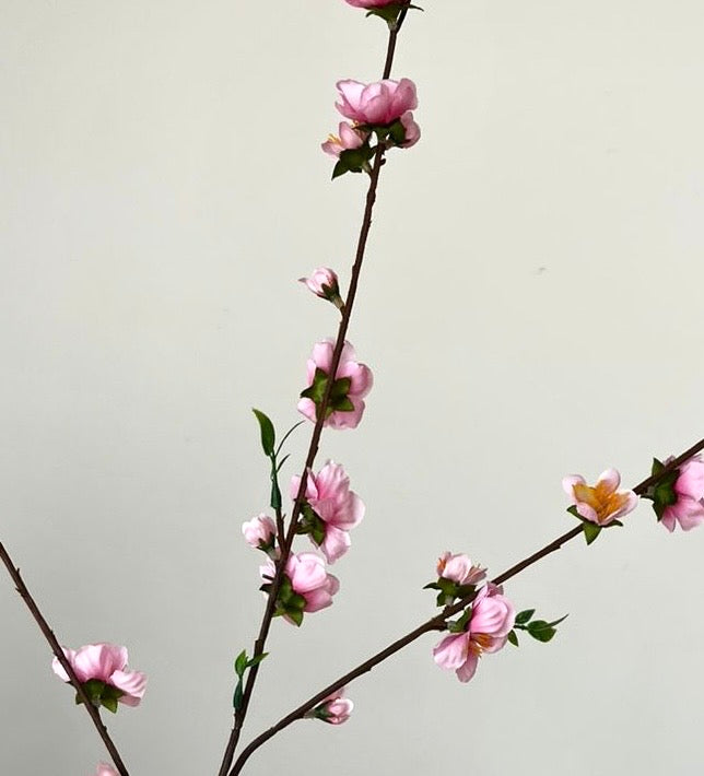 Flor de Cerezo VR