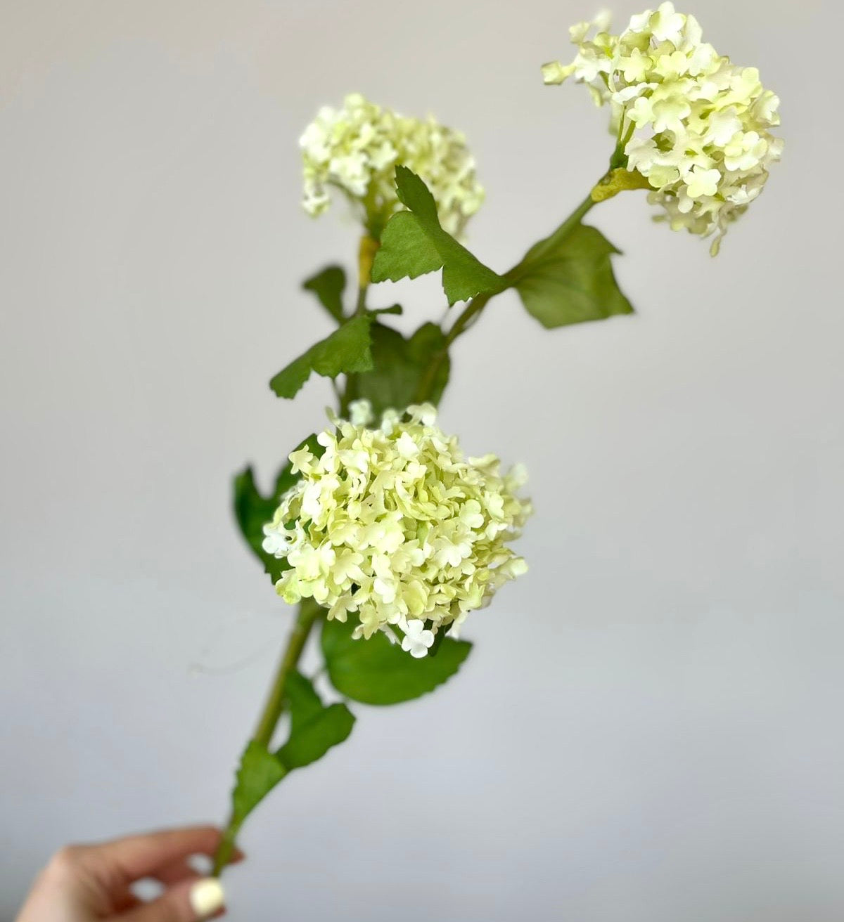 Flor HORTENSIAS mini