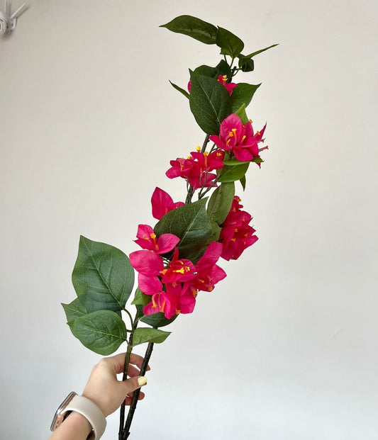 Flor Buganvilla