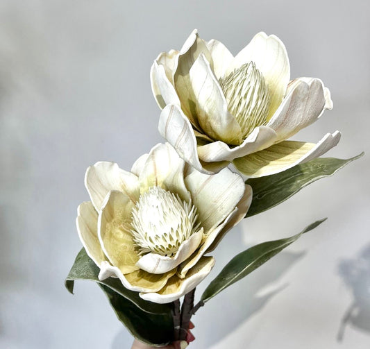 Flor ALMEJA Y LIMON VR