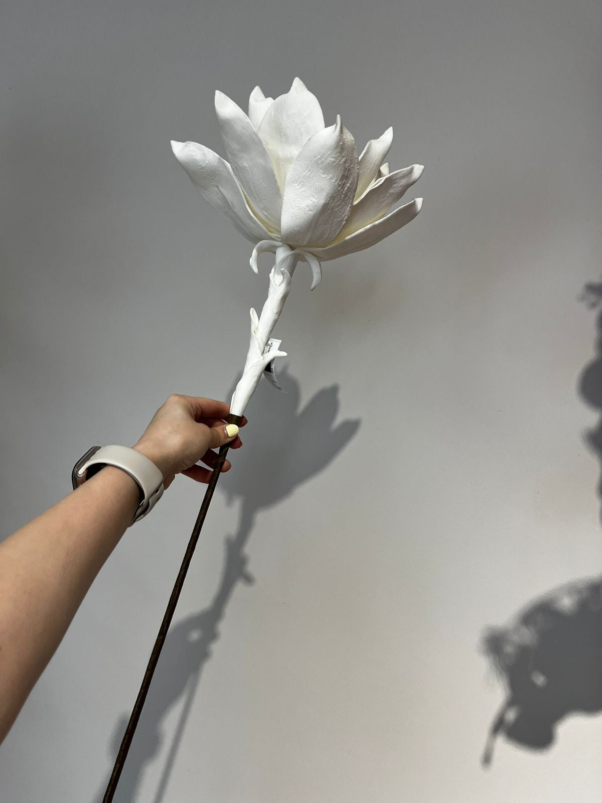 Flor MAGNOLIA blanca