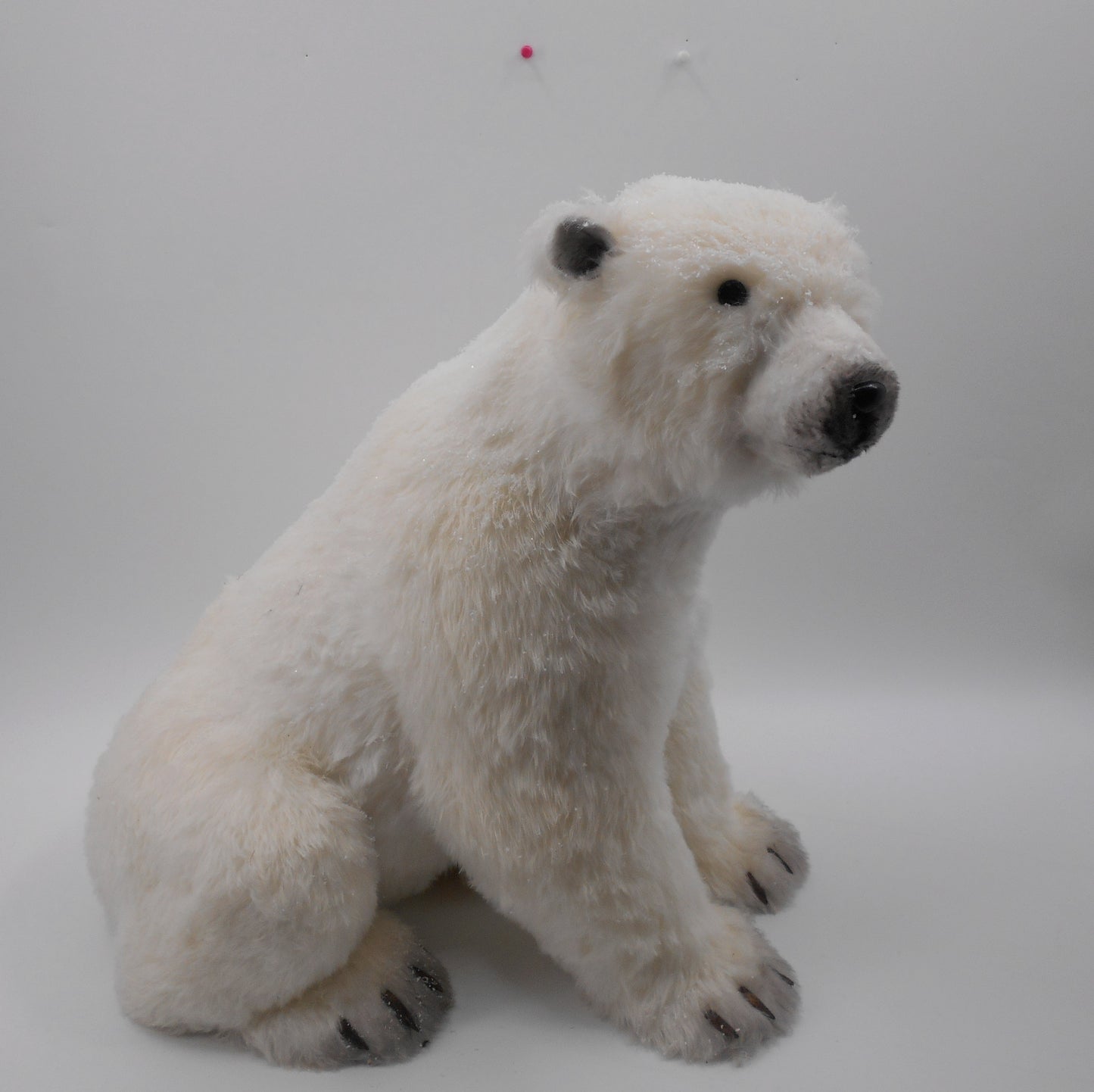 Oso Polar GRANDES caminando VR / BIG walking Polar Bears VR