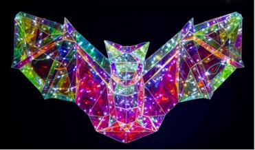 Murcielago iridiscentes / Iridescent Bat