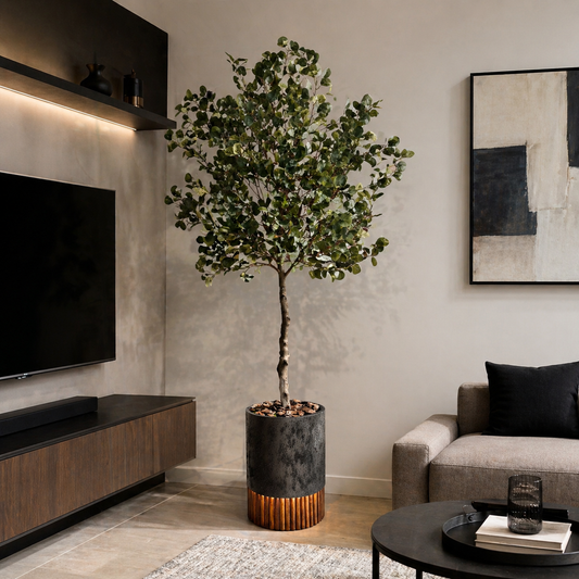 Arbol Eucalipto con maceta