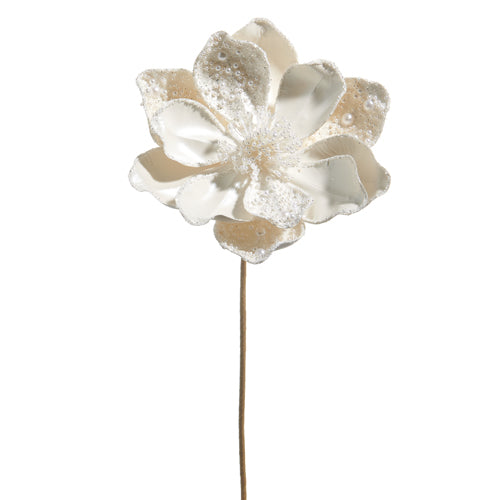 Flores blancas VR / White flowers VR