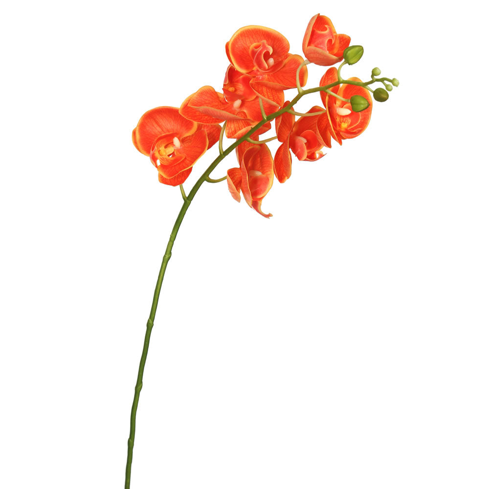 Flor ORQUIDEAS Real Touch VR