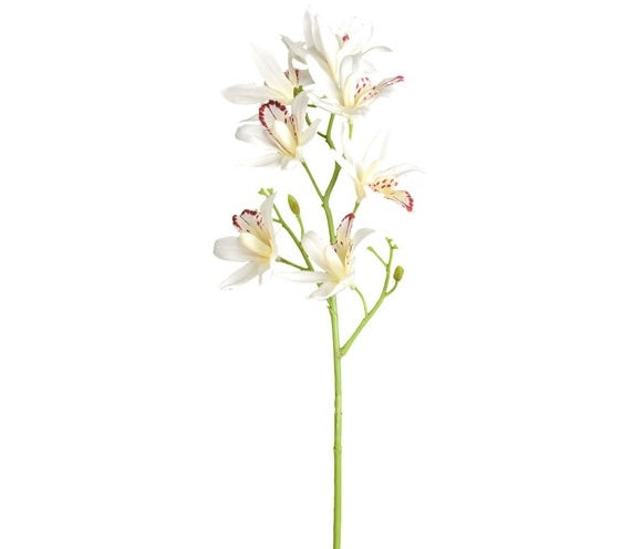 Flor ORQUIDEA chica VR