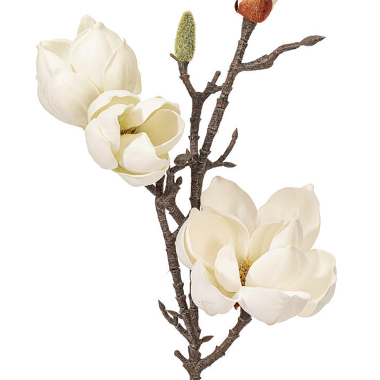 Flor MAGNOLIA blanca