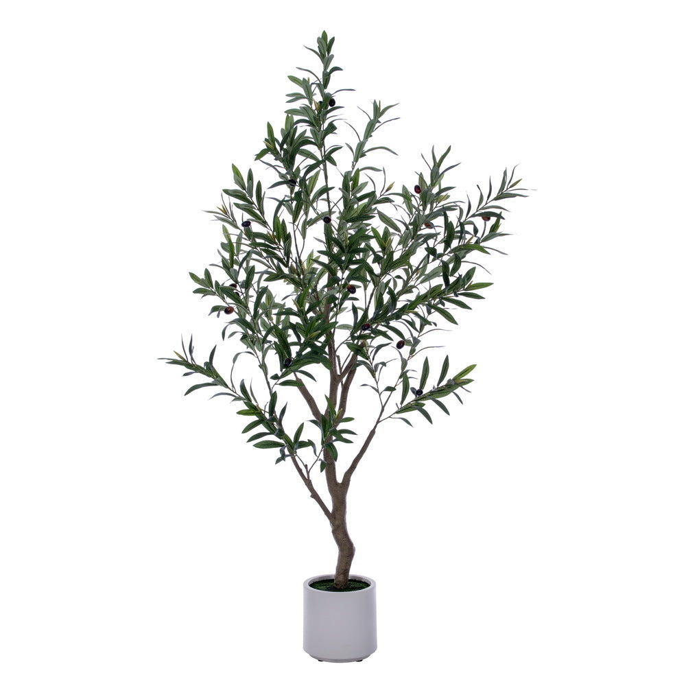 Arboles OLIVO VR