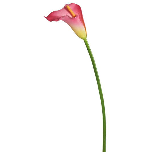 Flor CALLA LILIES VR