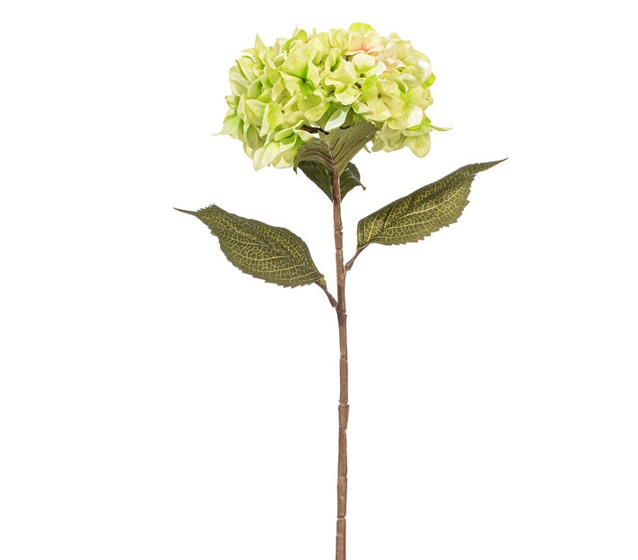 Flor HORTENSIAS grandes VR