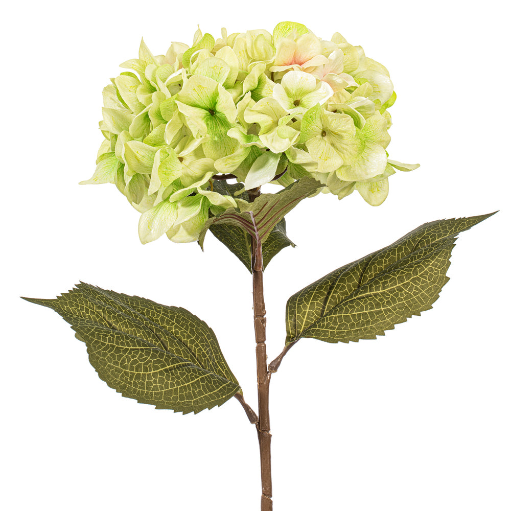 Flor HORTENSIAS grandes VR