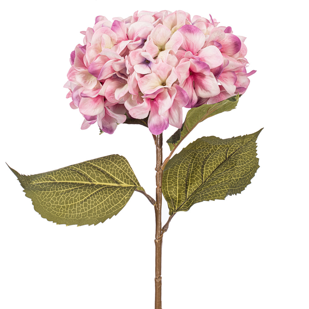 Flor HORTENSIAS grandes VR