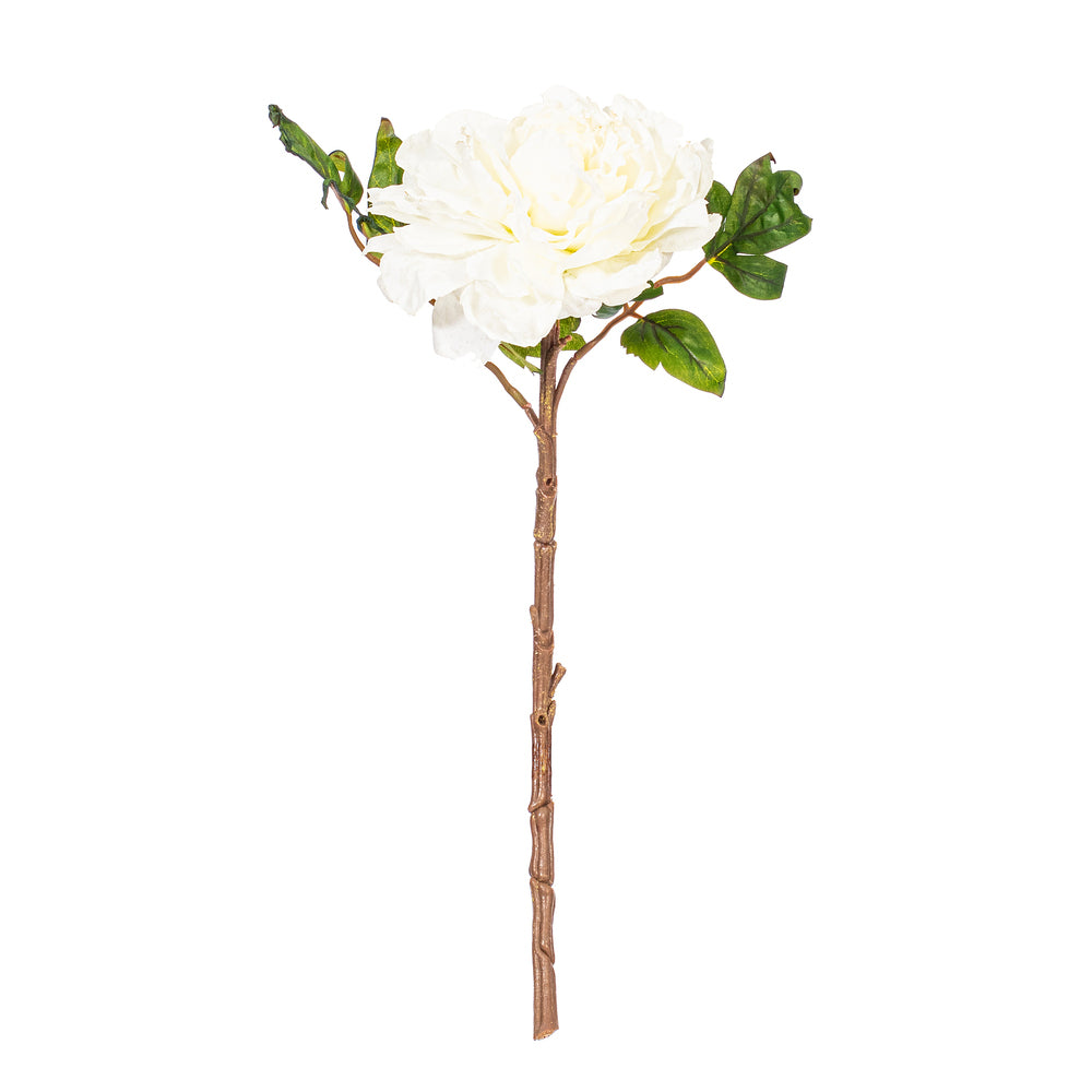 Flor PEONIA Real Touch VR
