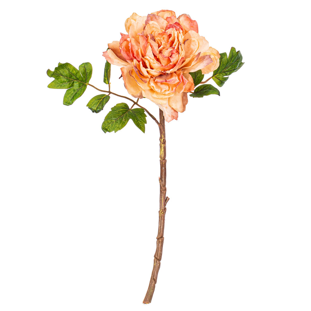 Flor PEONIA Real Touch VR