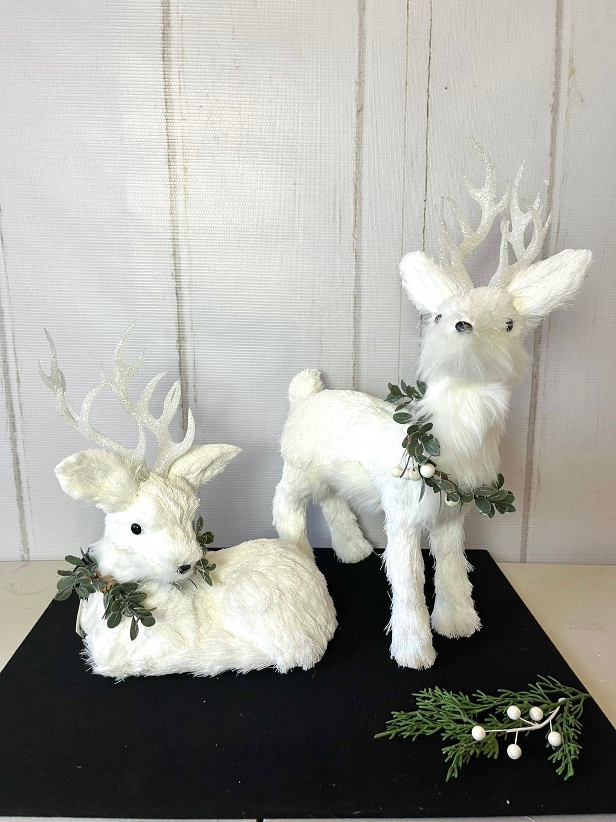 Venados blancos / White  Deers