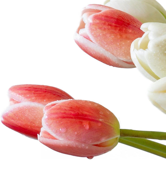 Flores Tulipanes Real Touch VR