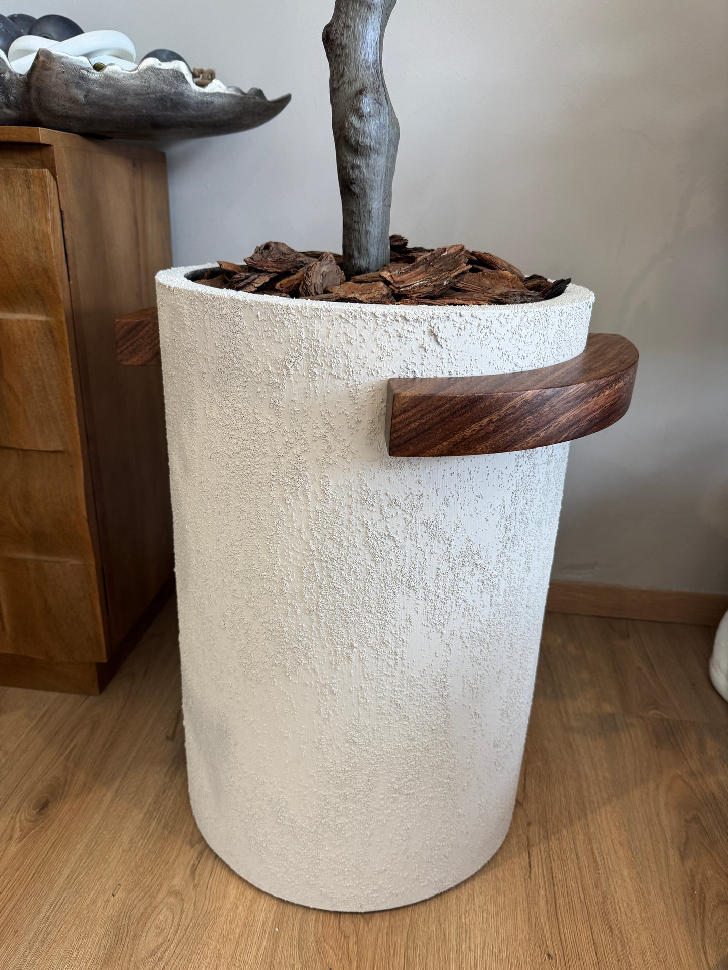 Arbol DOLAR con maceta VR