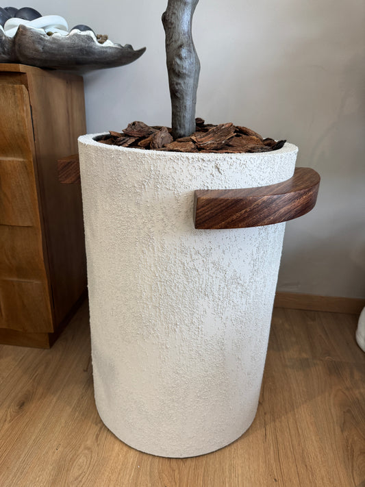 Arbol DOLAR con maceta VR